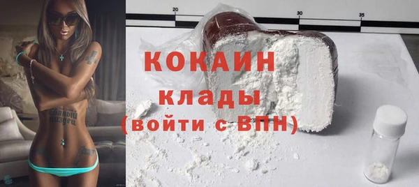 мяу мяу мука Коряжма