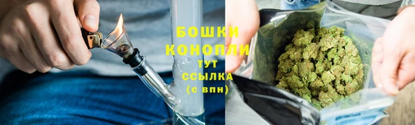 мяу мяу мука Коряжма