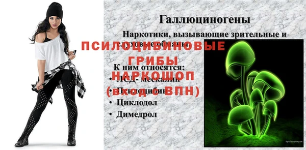 мяу мяу мука Коряжма