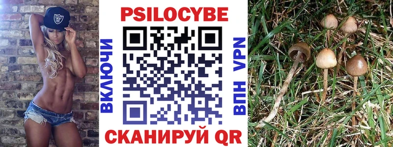 Псилоцибиновые грибы MAGIC MUSHROOMS  Купить закладки  Николаевск-на-Амуре 
